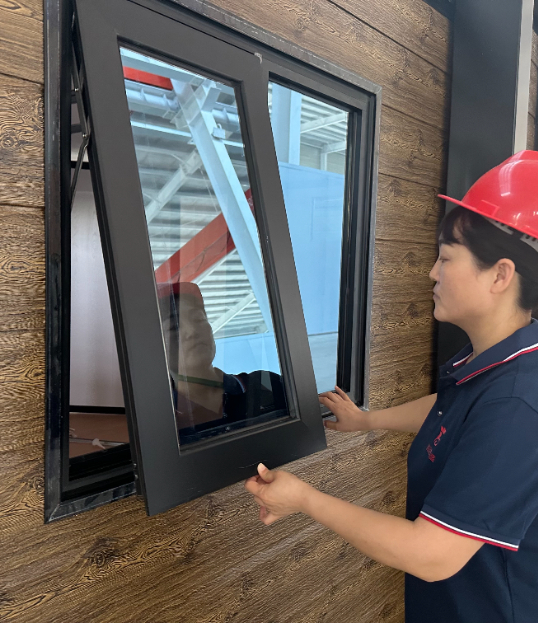 Window inspection